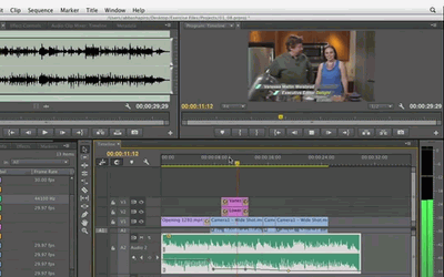Rates for audio/video transcription/editing in Acouostica Mixcraft / Adobe Premiere Pro