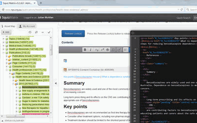 Rates for content management in Squiz Matrix CMS - backend screenshot